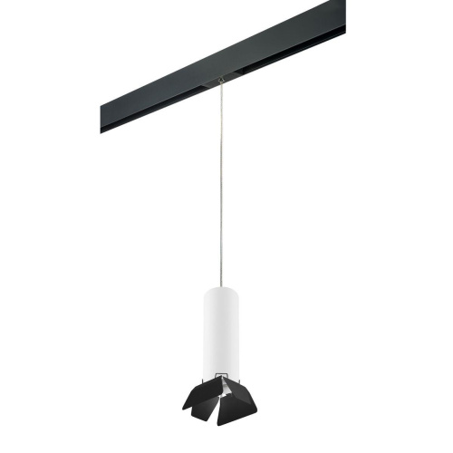 Комплект с трековым светильником Lightstar Rullo (214496+595857+202437) PRORP496437