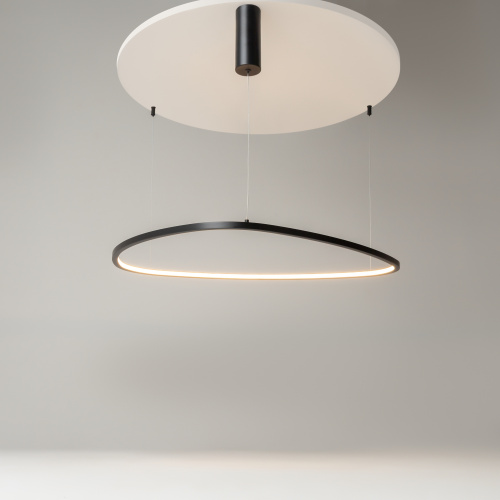 Подвесной светильник Maytoni MOD072PL-L36B3K фото 8