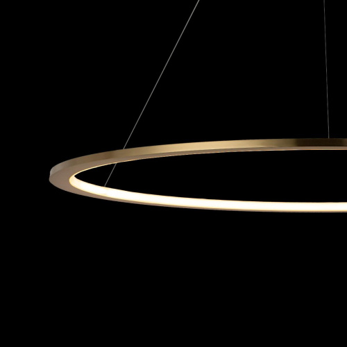 10014XL Подвесной светильник LOFT IT Ring фото 5 10014XL Подвесной светильник LOFT IT Ring фото 5