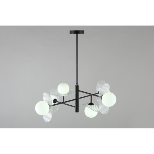 Люстра потолочная OML-51107-06 фото 6