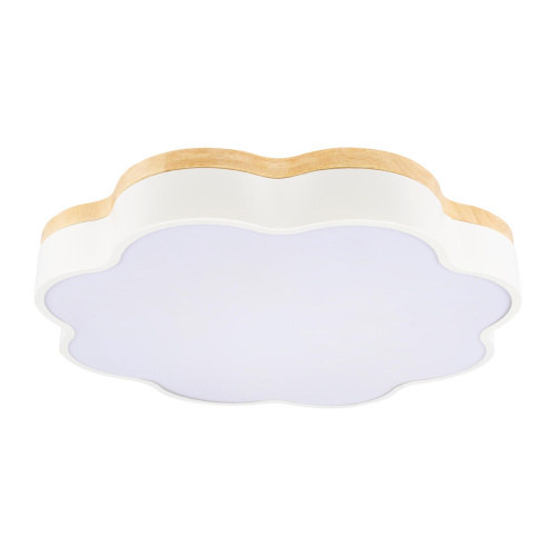 10225/36 White Потолочный светильник LOFT IT Axel фото 3