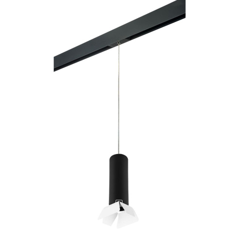 Комплект с трековым светильником Lightstar Rullo (214497+595857+202436) PRORP497436