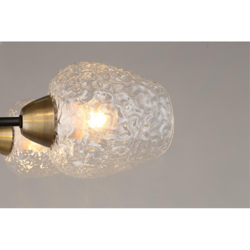 Люстра потолочная OML-67807-06 фото 7