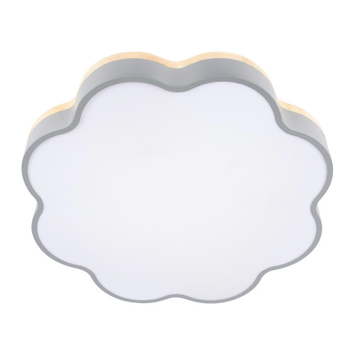 10225/36 Grey Потолочный светильник LOFT IT Axel фото 7