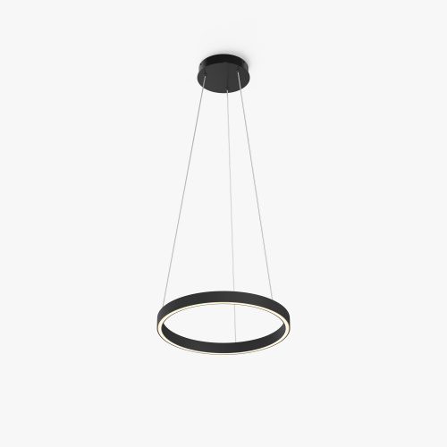 Подвесной светильник Maytoni MOD058PL-L22BK фото 5