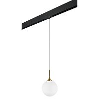 Комплект с трековым светильником Lightstar Globo (813022+595007) PRO813022