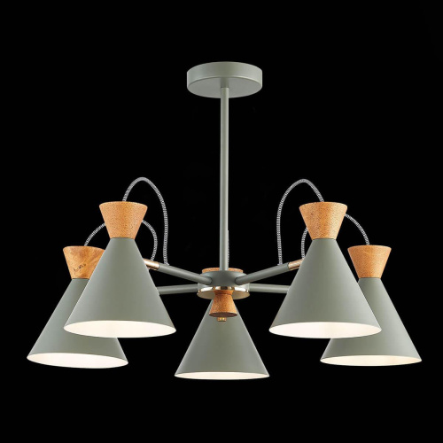 Потолочная люстра Evoluce Modica SLE125112-05 фото 2