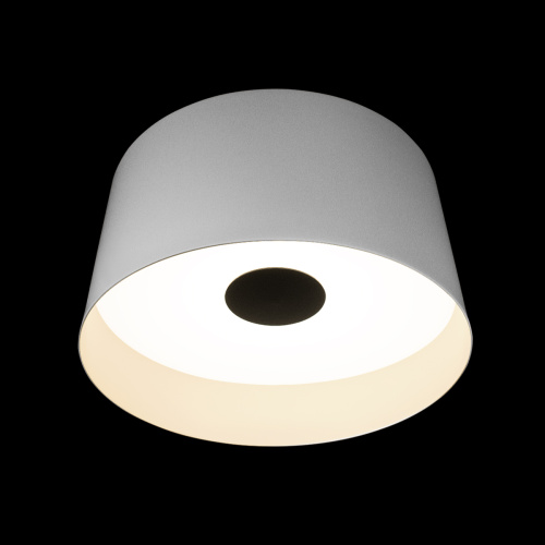 10360L White Потолочный светильник LOFT IT Duo фото 5 10360L White Потолочный светильник LOFT IT Duo фото 5