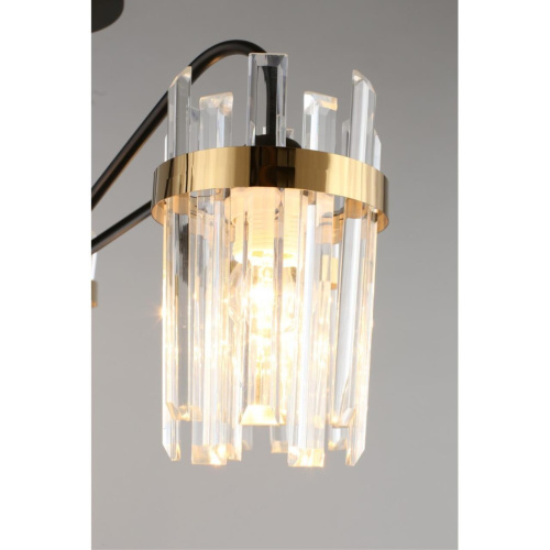 Люстра потолочная OML-67717-05 фото 6