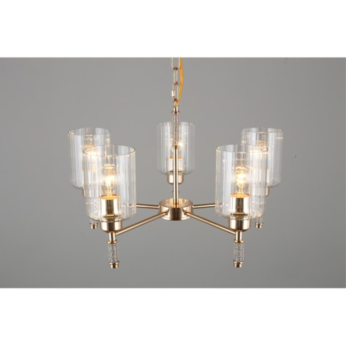 Люстра подвесная OML-66513-05 фото 2