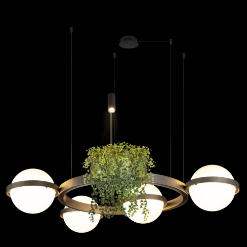 10121/4 Dark grey Подвесной светильник LOFT IT Jardin фото 3 10121/4 Dark grey Подвесной светильник LOFT IT Jardin фото 3