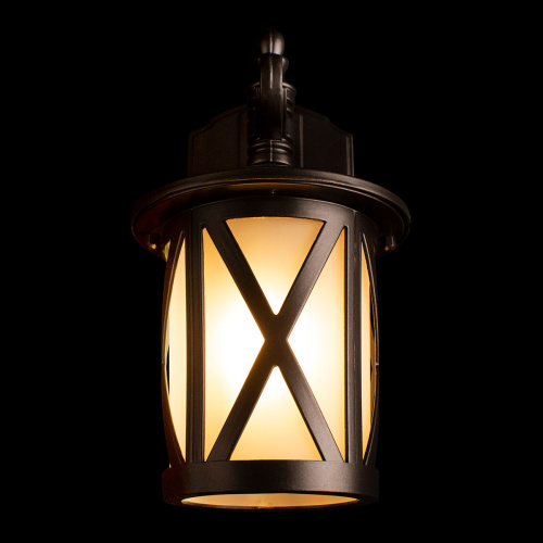 100016W Уличный настенный светильник LOFT IT Ravenna фото 3