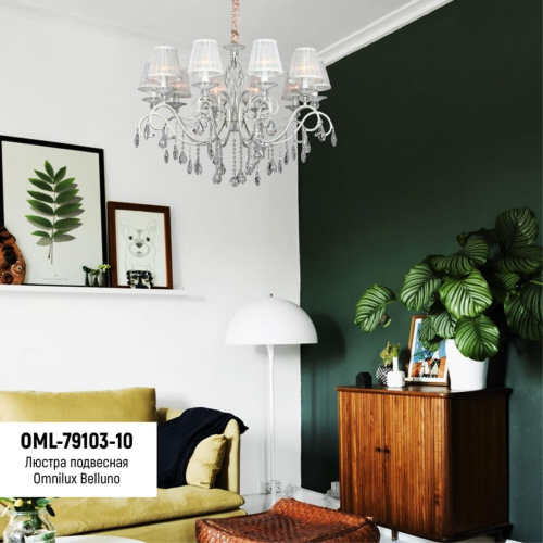 Люстра подвесная OML-79103-10 фото 11