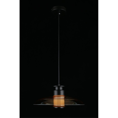 Светильник подвесной APL.648.16.10 фото 11