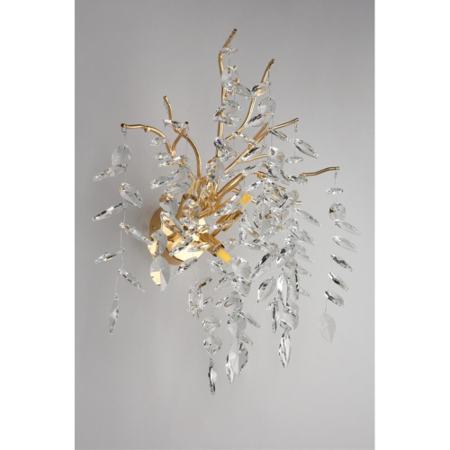 Светильник настенный (Бра) APL.847.01.03 фото 5