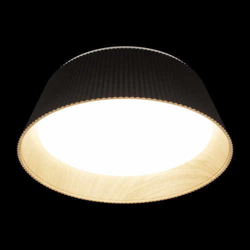 10224 Black Потолочный светильник LOFT IT Evans фото 4