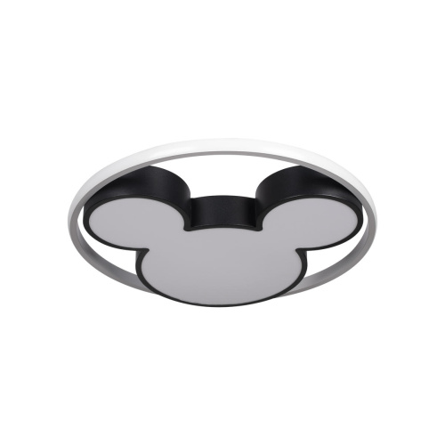 10165 Потолочный светильник LOFT IT Mike фото 4