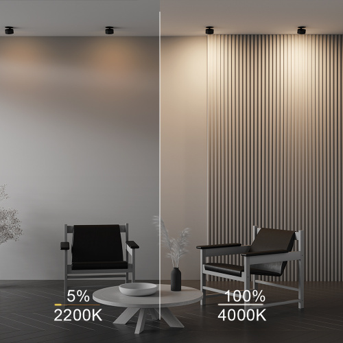 Встраиваемый светильник Technical DL024-12W-DTW-B фото 6