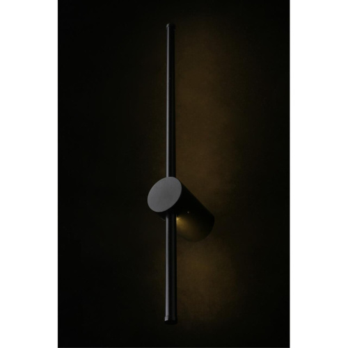 Светильник настенный (Бра) APL.0123.01.07 фото 9