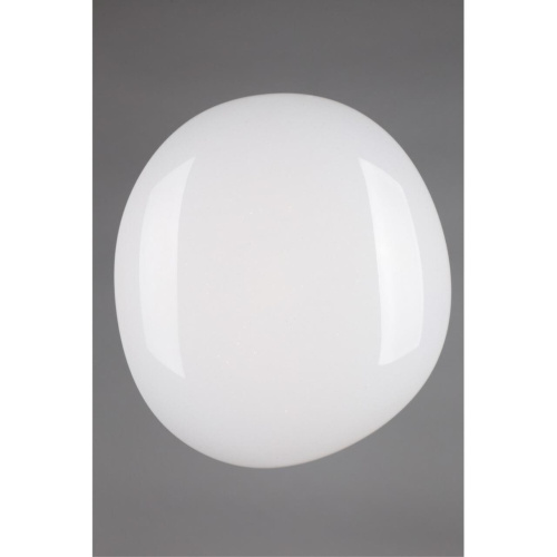 Люстра потолочная OML-47507-30 фото 5