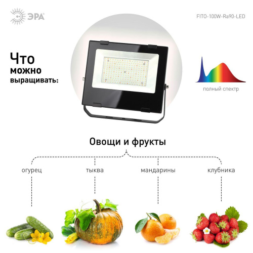 Прожектор светодиодный для растений ЭРА 100W 4000K Fito-100W-Ra90-Led Б0047876 фото 4