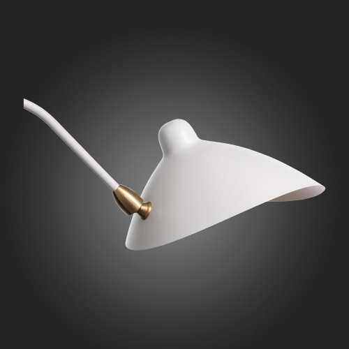 SL305.501.02 Светильник настенный ST-Luce Белый/Белый E27 2*60W SPRUZZO фото 5