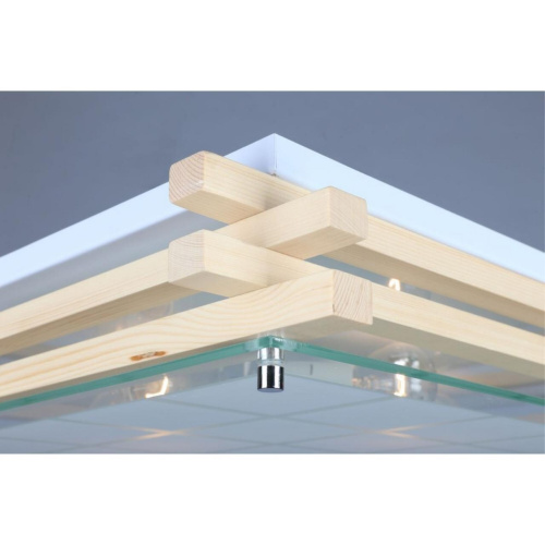 Светильник настенно-потолочный OML-40517-05 фото 2