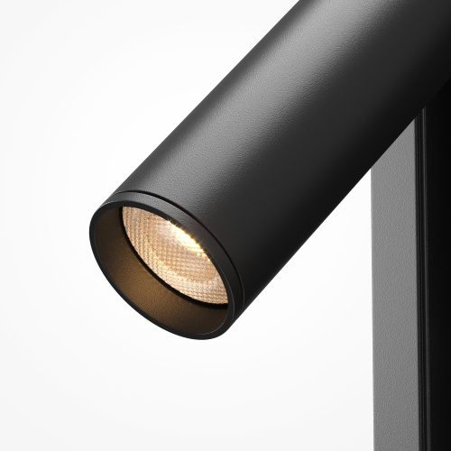 Настенный светильник (бра) Maytoni MOD495WL-L3B3K фото 4