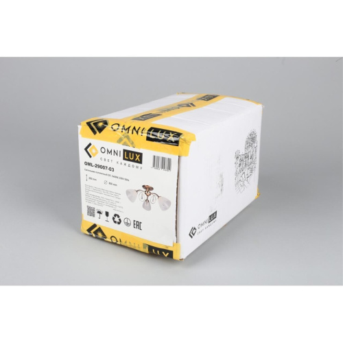 Люстра потолочная OML-29007-03 фото 2