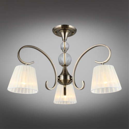 Люстра потолочная OML-56103-03 фото 3