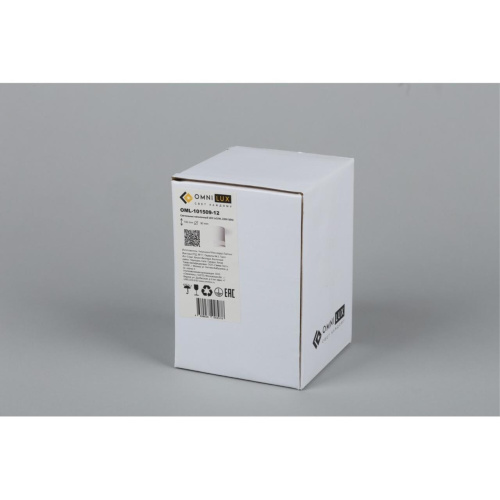 Светильник встраиваемый-накладной OML-101509-12 фото 2 Светильник встраиваемый-накладной OML-101509-12 фото 2