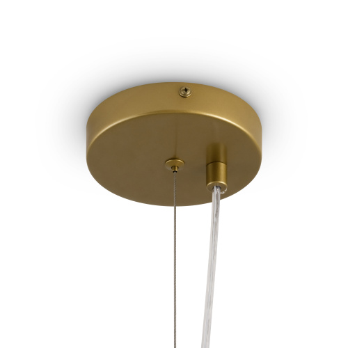 Потолочный светильник Freya FR5584CL-L45G фото 8