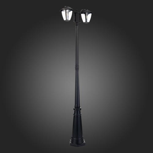 SL081.405.02 Светильник уличный наземный ST-Luce Черный/Черный, Прозрачный E27 2*40W SIVINO фото 9