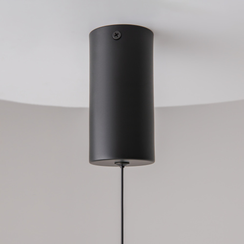 Подвесной светильник Technical P022PL-L20B3K фото 6