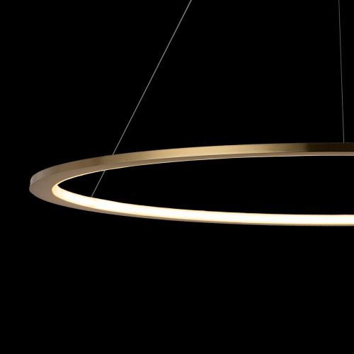 10014L Подвесной светильник LOFT IT Ring фото 5