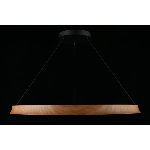 Люстра подвесная APL.787.03.75 фото 10