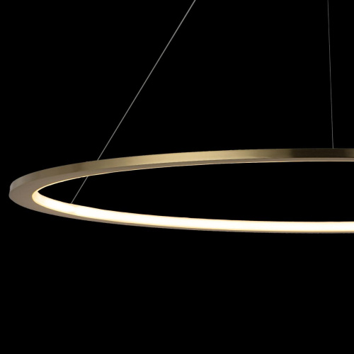 10014XXL Подвесной светильник LOFT IT Ring фото 5