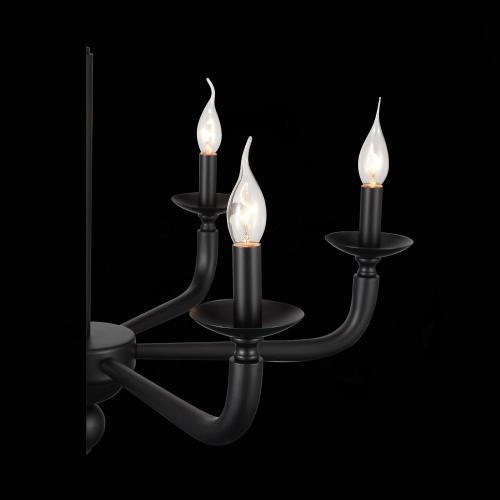 SL1114.403.06 Люстра подвесная ST-Luce Черный E14 6*40W FORTEZA фото 9