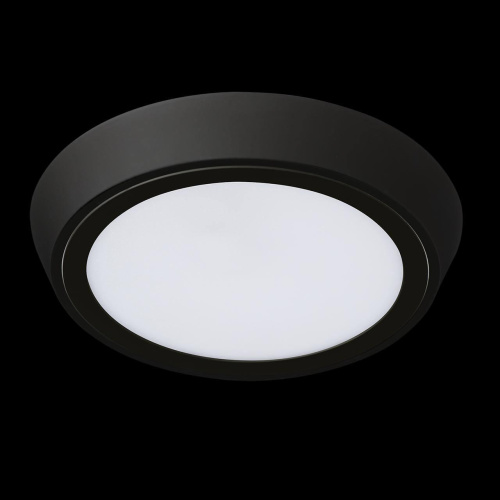 Потолочный светодиодный светильник Lightstar Urbano 216972 фото 3 Потолочный светодиодный светильник Lightstar Urbano 216972 фото 3
