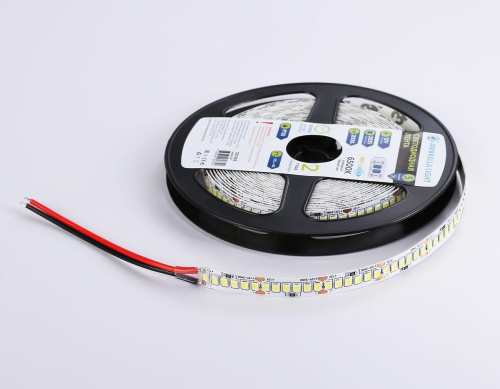 Светодиодная лента Ambrella Light 19,2W/m 240LED/m 2835SMD холодный белый 5M GS1503 фото 2