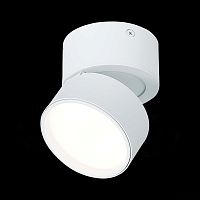 ST651.542.09 Светильник потолочный поворотный Белый LED 1*9W 4000K 720Lm Ra>90 120° IP20 D85xH87 170 Накладные светильники
