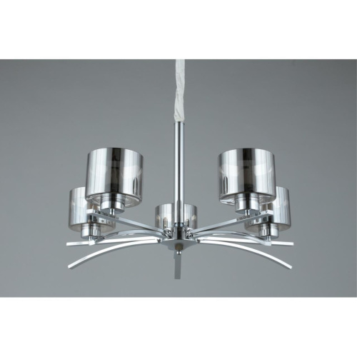 Люстра подвесная OML-55803-05 фото 6