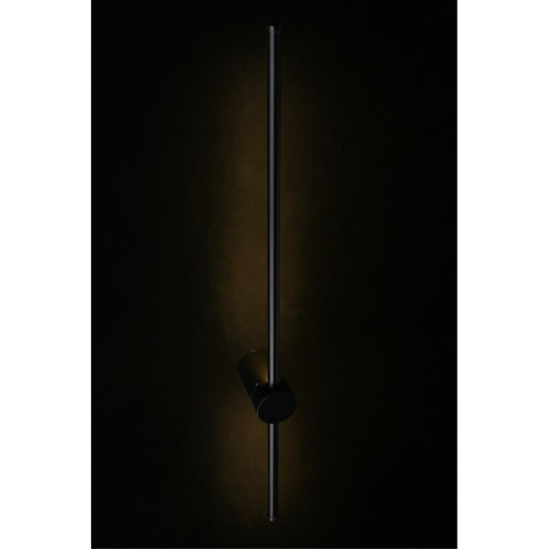 Светильник настенный (Бра) APL.0123.01.12 фото 11