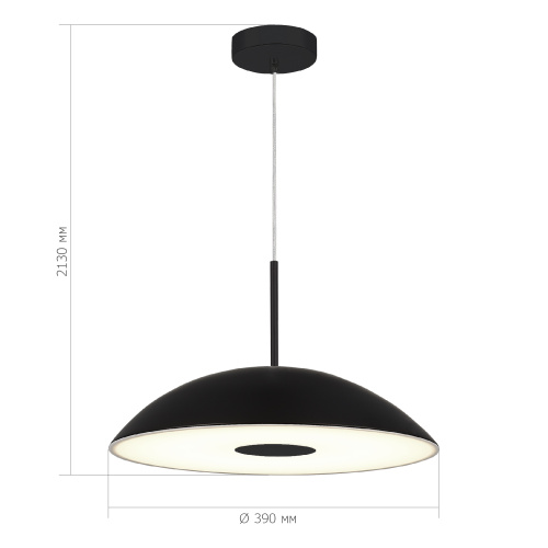 SL6128.403.01 Светильник подвесной ST-Luce Черный/Черный LED 1*24W 3000K LID фото 2
