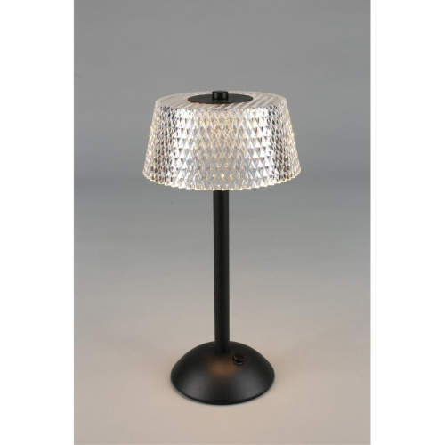 Настольная лампа OML-40104-01 фото 16