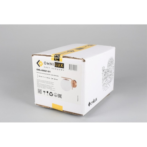 Светильник настенный (Бра) OML-66621-01 фото 2