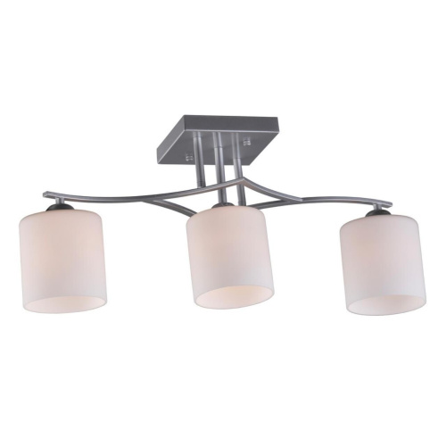 Люстра потолочная OML-55307-03