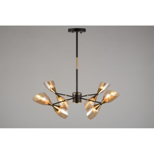 Люстра потолочная OML-66807-08 фото 2