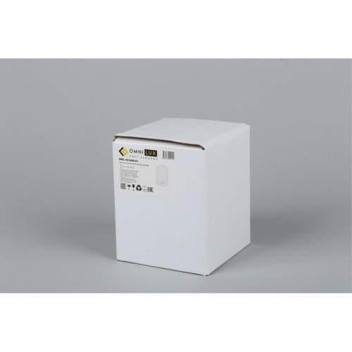 Светильник встраиваемый-накладной OML-101009-01 фото 6 Светильник встраиваемый-накладной OML-101009-01 фото 6