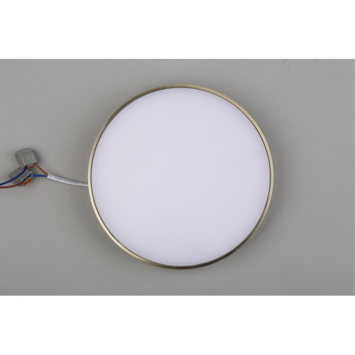 Светильник настенно-потолочный APL.0114.29.24 фото 8